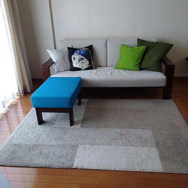 jkabmymycatさんの実例写真