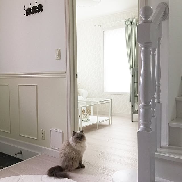 yuchiさんの実例写真