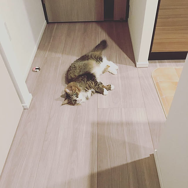nijime30さんの実例写真