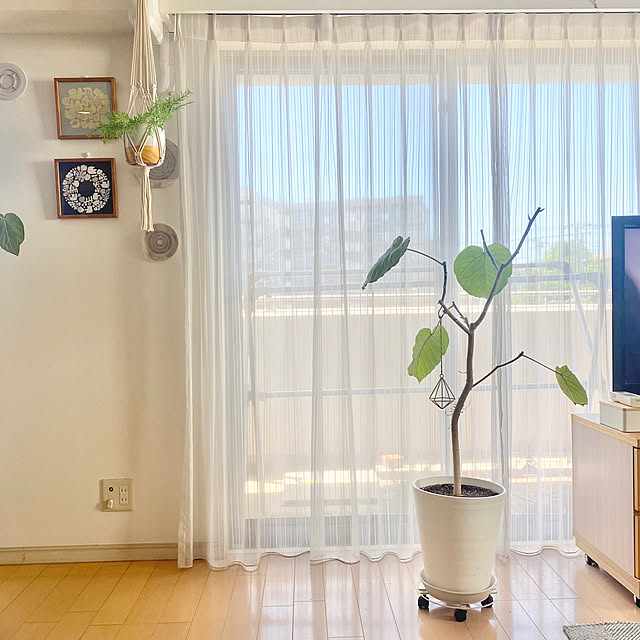 krkrさんの部屋