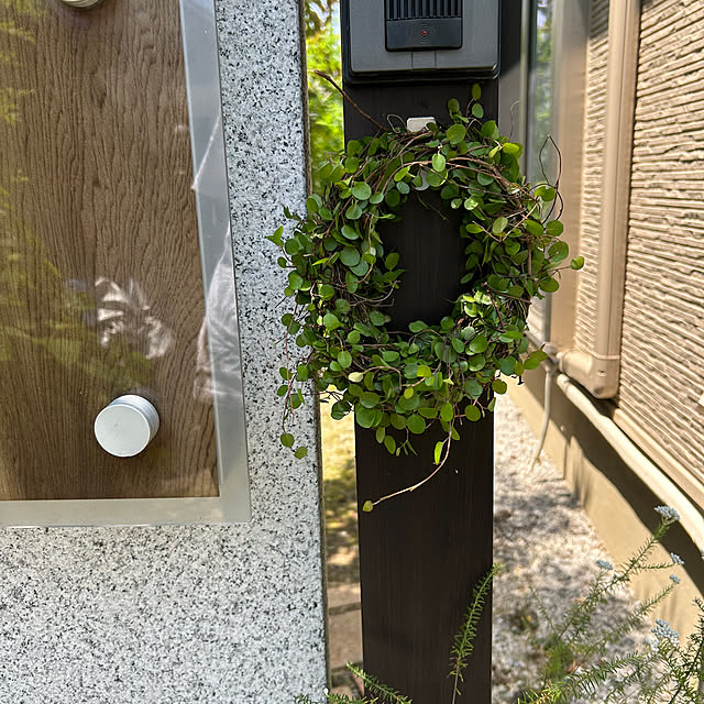 hatsugaさんの実例写真