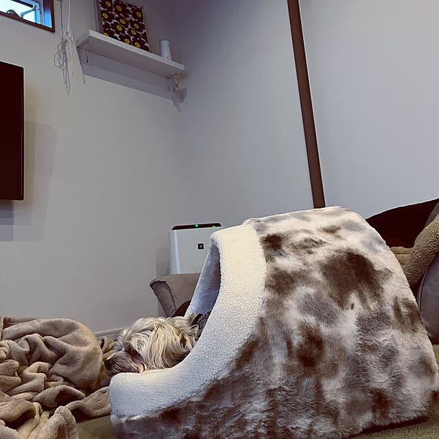 seiさんの実例写真