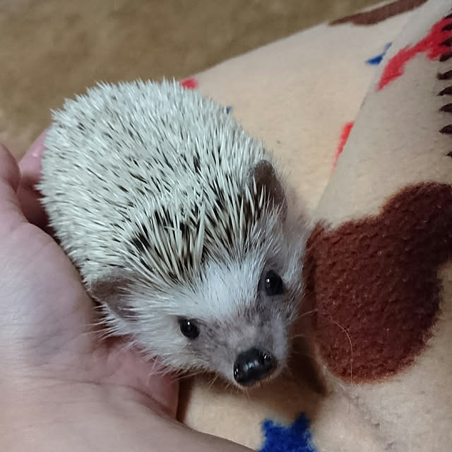 Reikomさんの実例写真