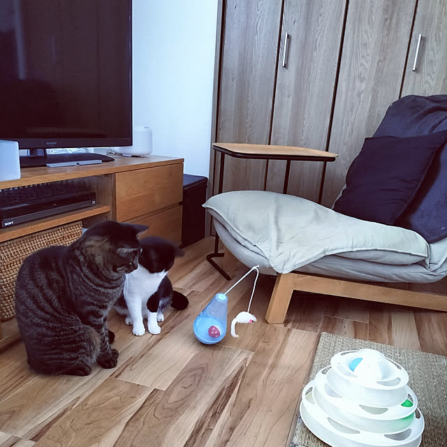 hihaさんの実例写真