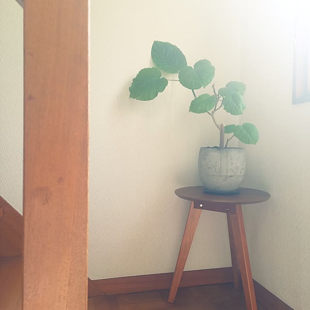 rhuさんの実例写真
