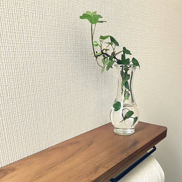 Y800さんの実例写真