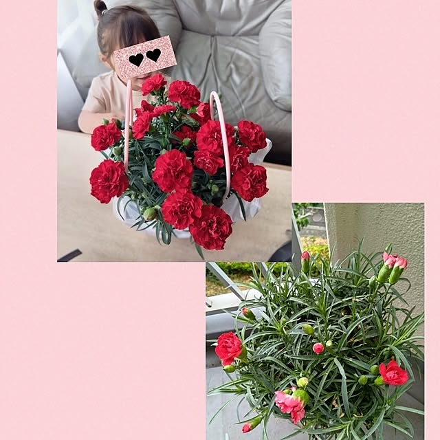 yokomokoさんの実例写真