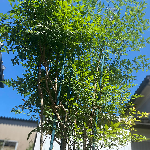 kojirotanさんの部屋