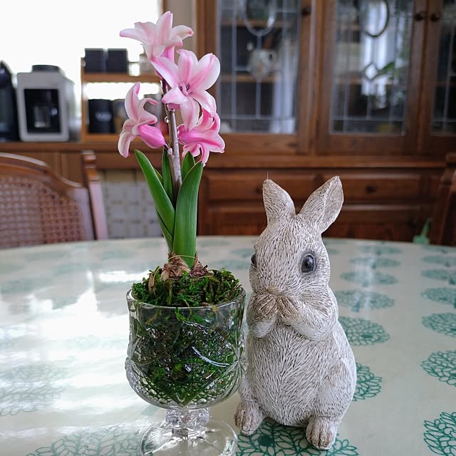 makotomosukeさんの実例写真