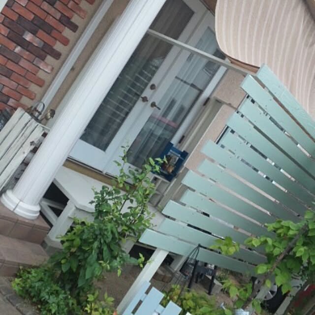 moco-chanさんの実例写真