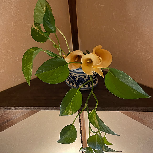 mamizaさんの実例写真