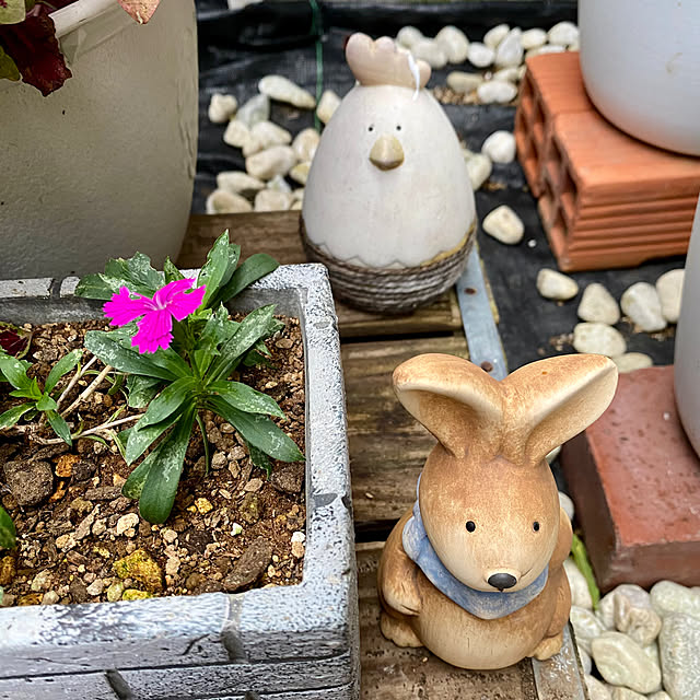 YuuKoさんの実例写真