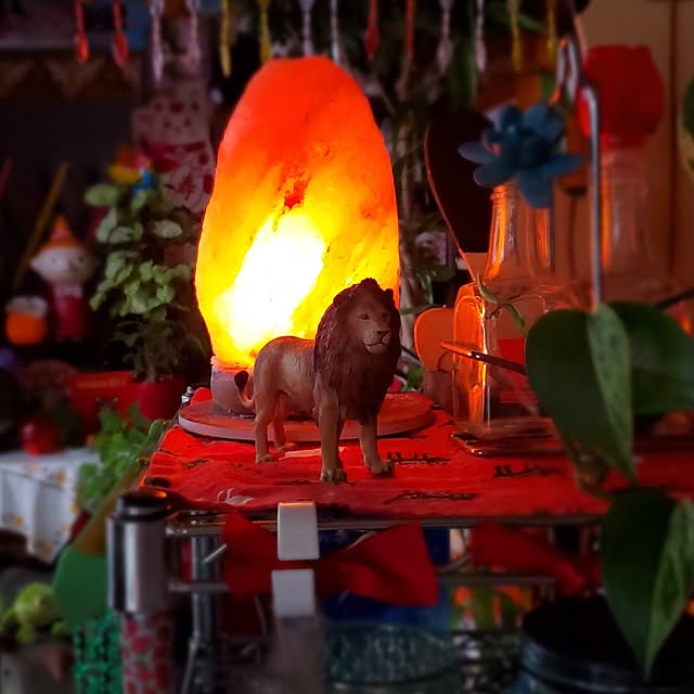 kumutanさんの実例写真