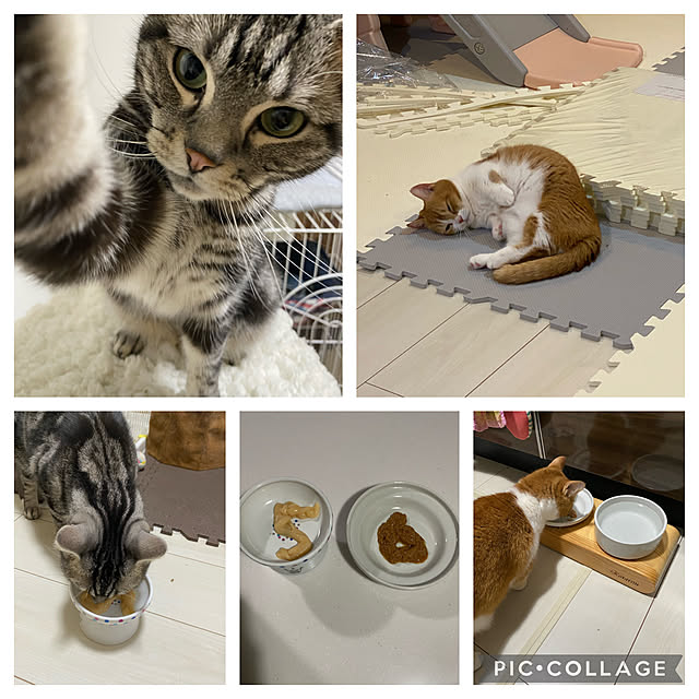 KotarouKunさんの実例写真