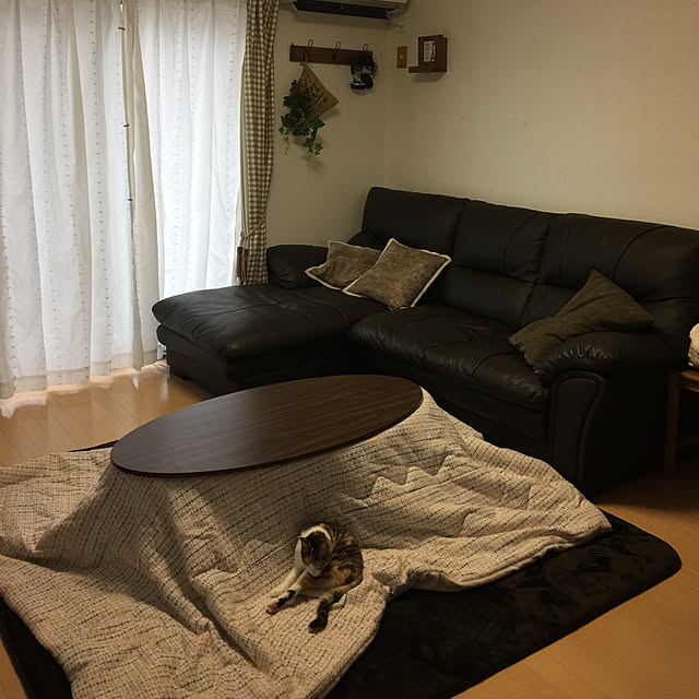 Naomiさんの実例写真