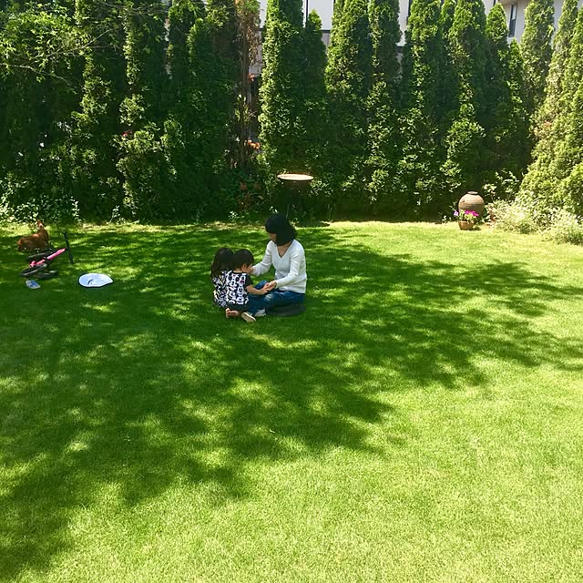 sonoさんの実例写真