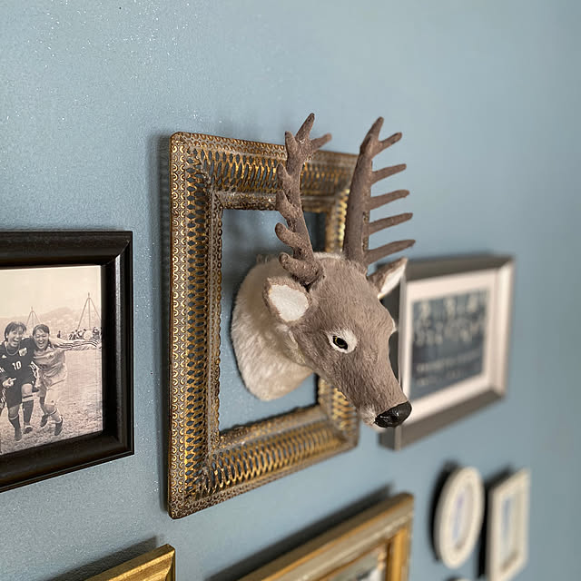 misacoさんの実例写真