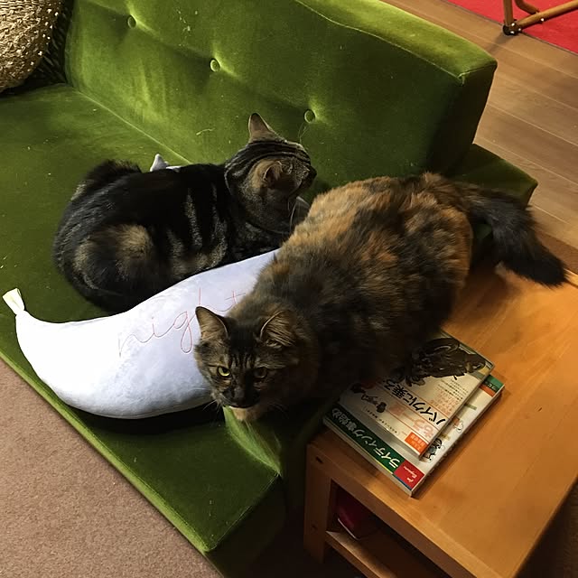 mikomaruさんの実例写真