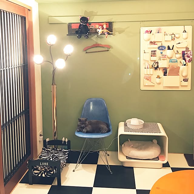 Shojiさんの実例写真