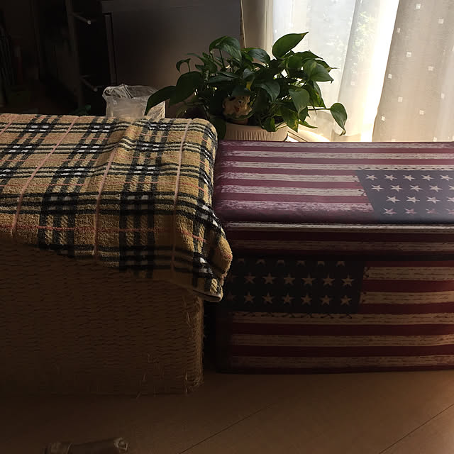 emiさんの実例写真