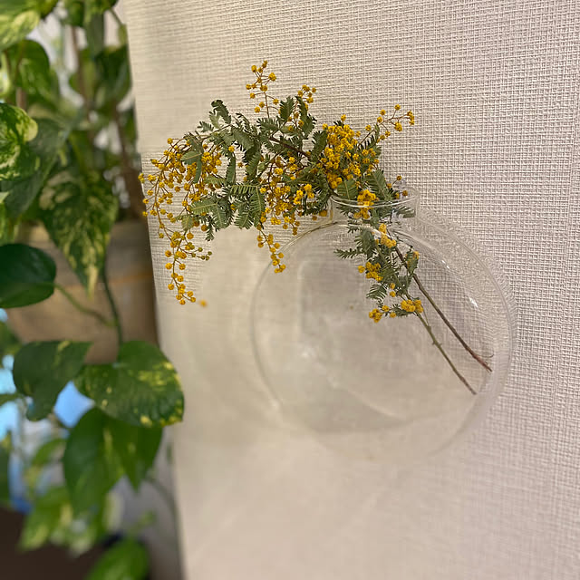 shiroさんの実例写真