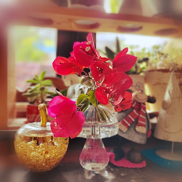 shinkoukei-hahaさんの部屋