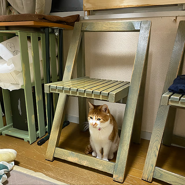 SHIHOさんの実例写真