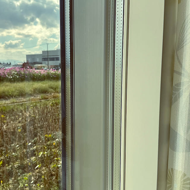 chiiyanさんの部屋