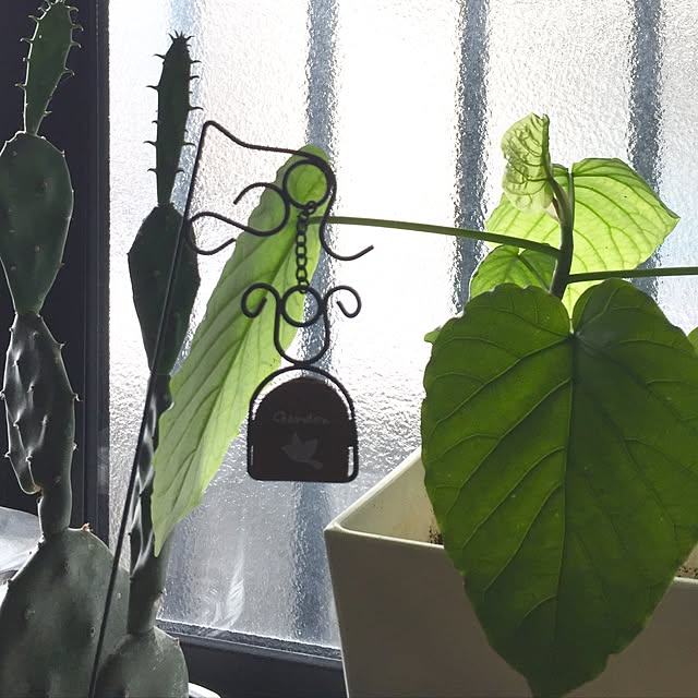 CoffeeHouseさんの実例写真