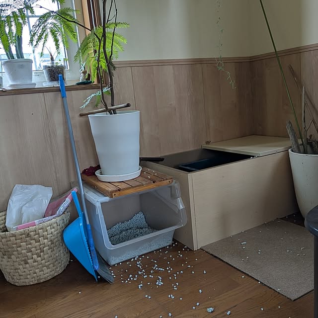 hiroさんの部屋