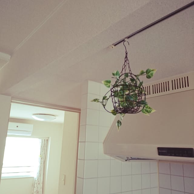 Yuumamさんの実例写真