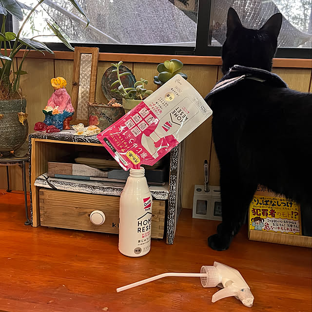 jijiさんの実例写真