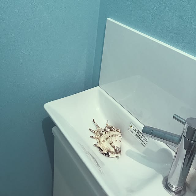 Eriさんの実例写真