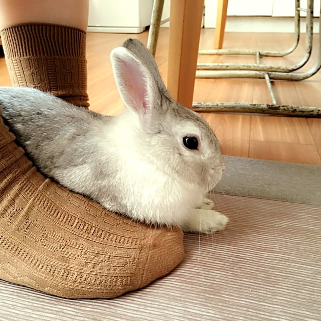 mizutamaさんの実例写真