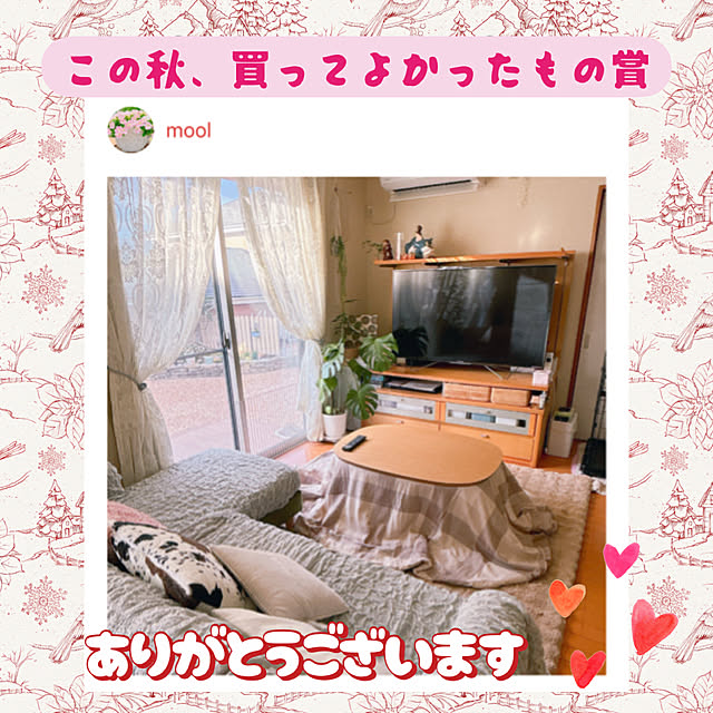 moolさんの実例写真