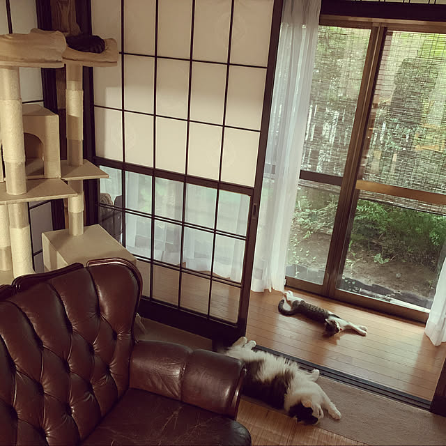 実例写真