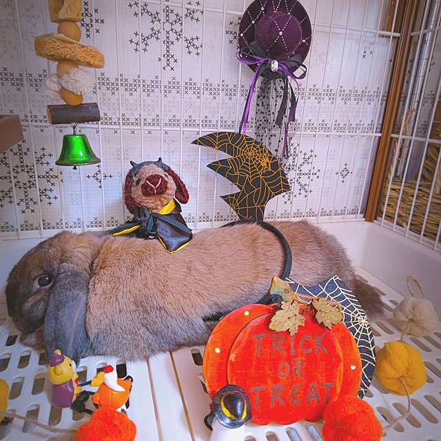 mariaさんの部屋