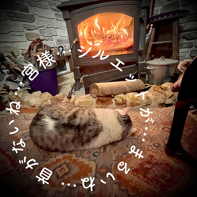 marusanさんの実例写真