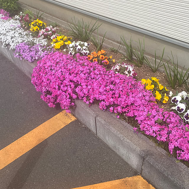 YuuKoさんの部屋