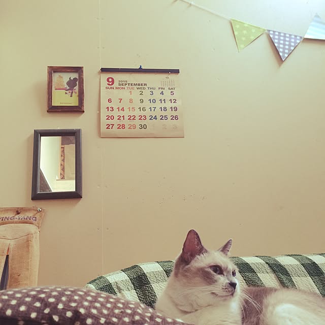 FUJIさんの実例写真
