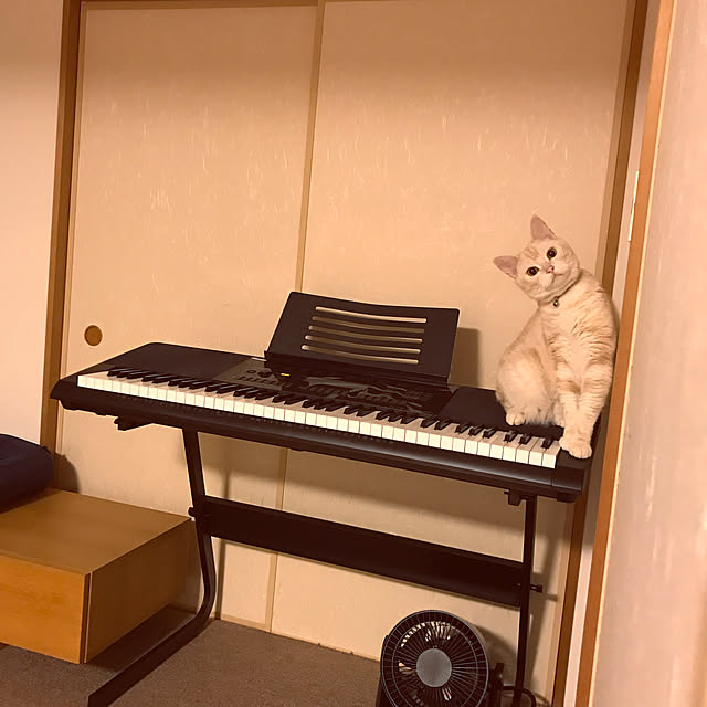 hiyupan88さんの実例写真