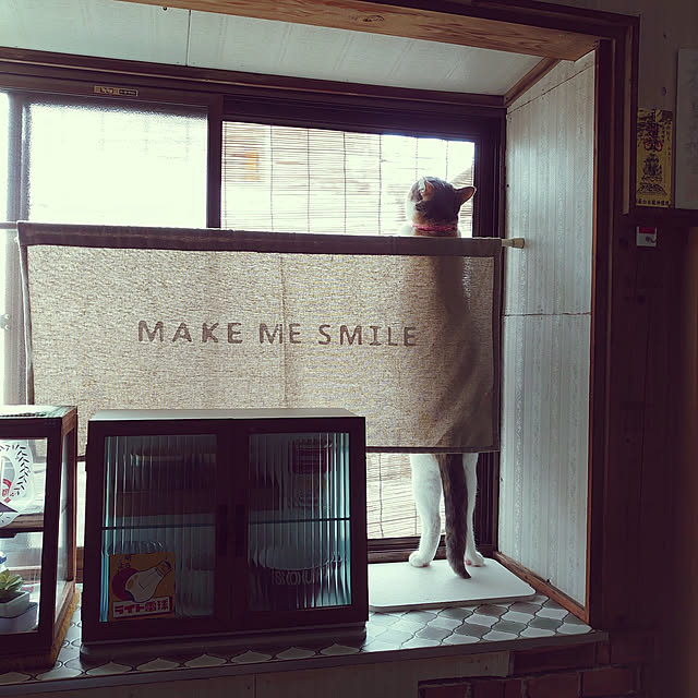 fukuさんの実例写真