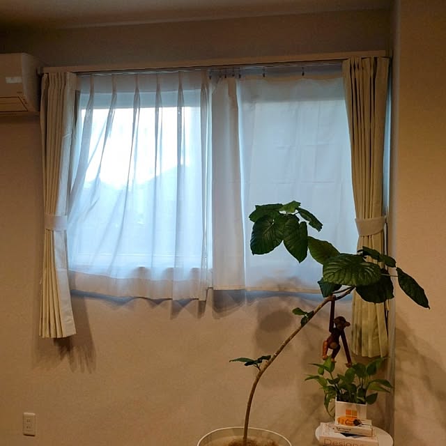 tan5さんの実例写真