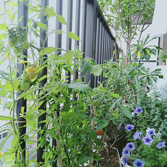 reko639さんの実例写真