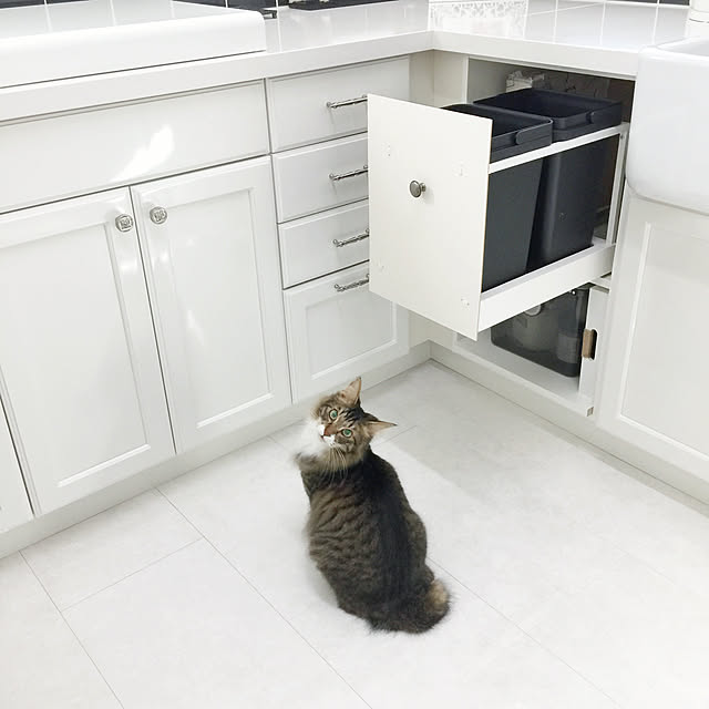 yuchiさんの実例写真