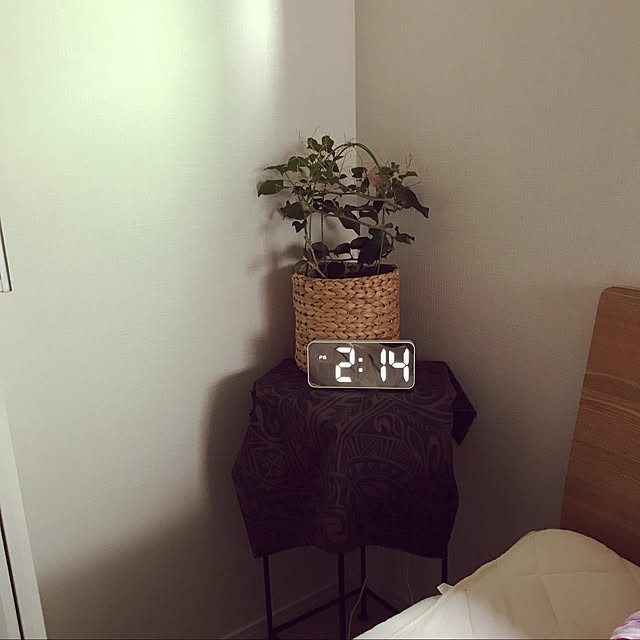 無印良品ベッド/ブーゲンビリアのある暮らし/ニトリ/せまくても諦めない！/工夫する楽しさ♪...などのインテリア実例 - 2022-09-16 14:20:54