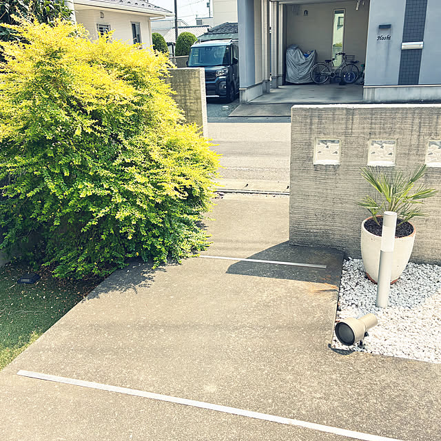 saruさんの実例写真