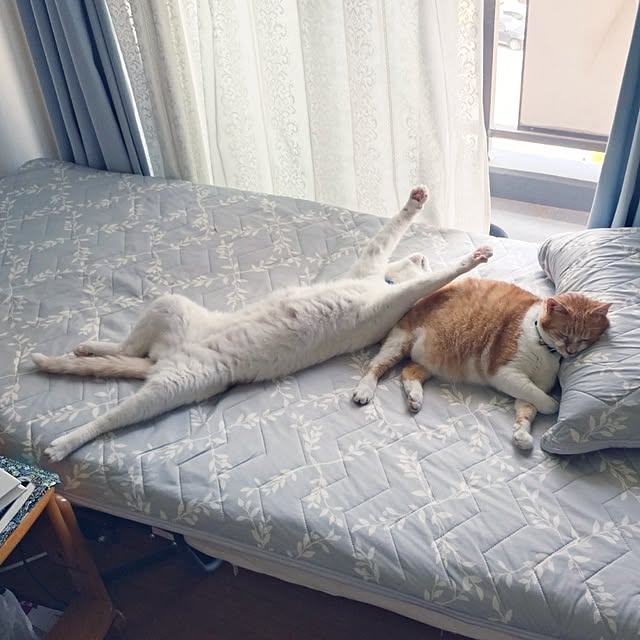 NOAHさんの部屋
