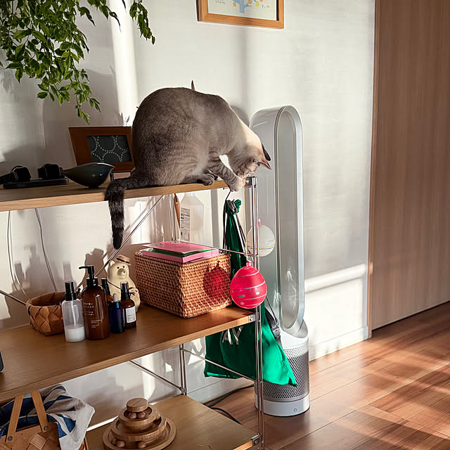 amさんの実例写真