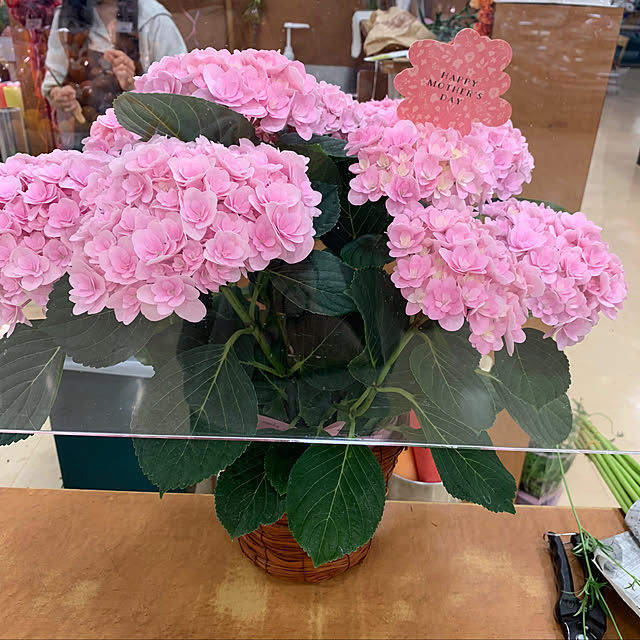 ayako123さんの実例写真